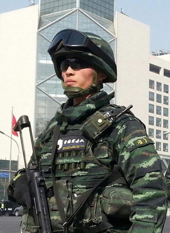 武警"雪豹突击队"英姿飒爽保两会