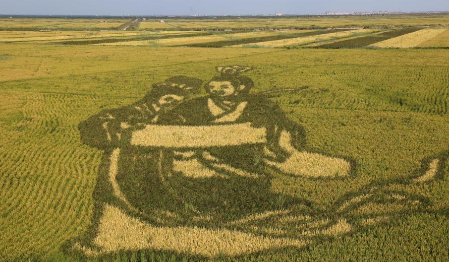 稻田画亮相辽宁红海滩