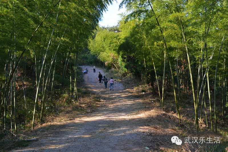 湖北隐藏这么多绝美小岛 竟然都是世界级遗产