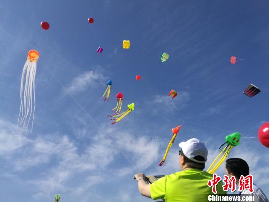 全国风筝精英赛开赛万名风筝爱好者齐聚河北风筝之乡
