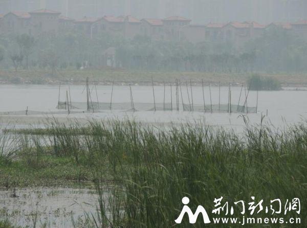 非法捕鱼者在水库布"迷魂阵" 部分已拆除