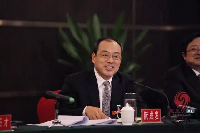 武汉市委书记阮成发