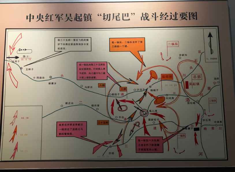 讲述|杜梨树下"切尾巴" 革命老区新变化
