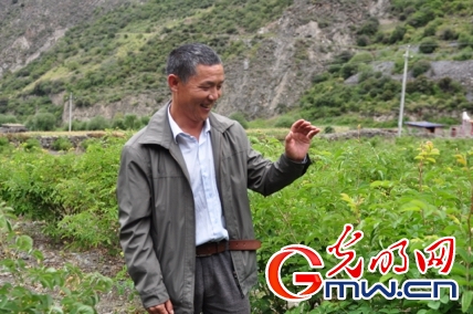 【网络媒体走转改】夹金山下玫瑰开 花香洒满致富路 【网络媒体走转改】夹金山下玫瑰开 花香洒满致富路