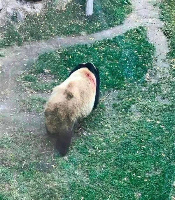 1476590742278052468.jpg 1119724912_14765753910181n.jpg