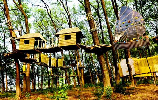 m_20161021xxhbrba0008c_5.jpg m_20161021xxhbrba0008c_5.jpg