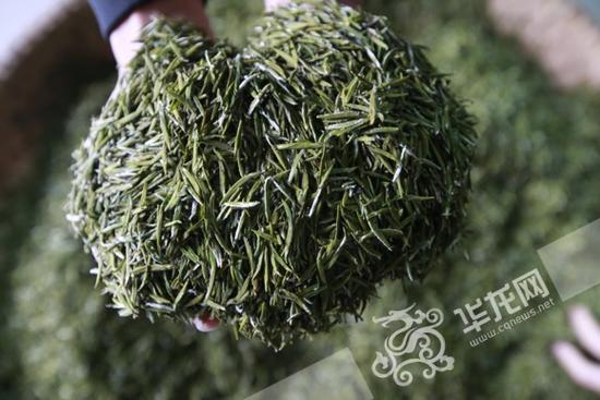 【网络媒体走转改】重庆秀山红军洞见证鱼水情 川河盖镌刻黔东独立师奋战历史