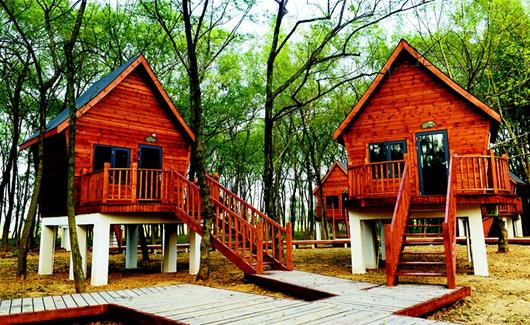 m_20161021xxhbrba0008c_4.jpg m_20161021xxhbrba0008c_4.jpg