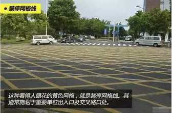 注意!11月20日起 违反交通禁止标线将被罚