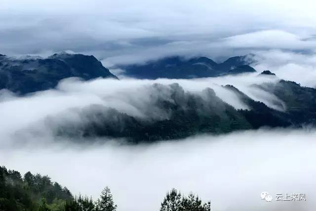 5大河•白岩山:作者:吴永红 (22).JPG