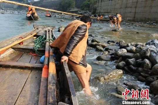 图为船遇浅滩,纤夫也会下水护航。 蒋青琳 摄