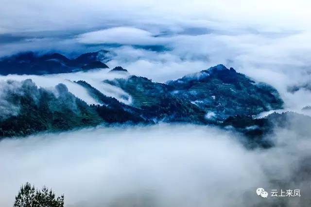 4大河•白岩山:作者:吴永红 (21).JPG
