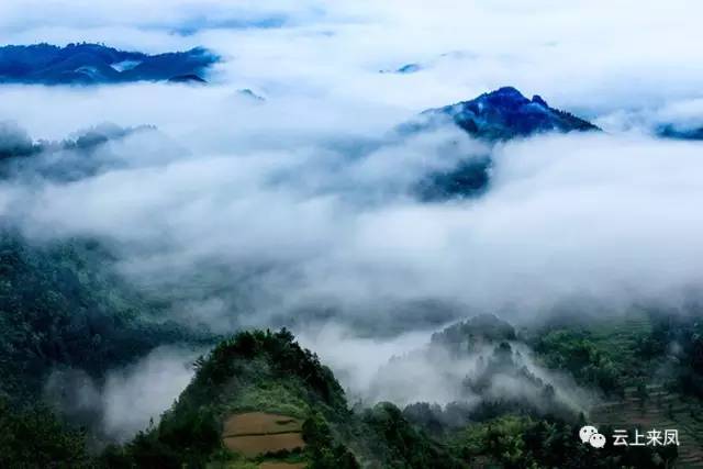 1大河•白岩山:作者:吴永红 (13).jpg