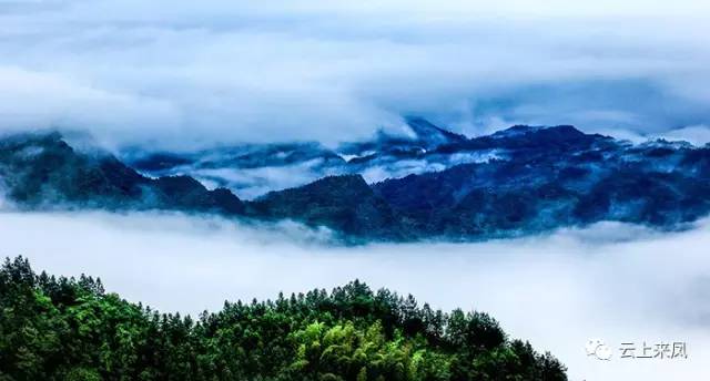 6大河•白岩山:作者:吴永红 (23).JPG