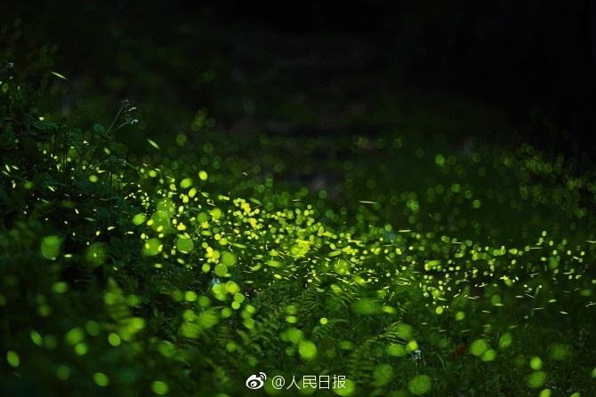 1495148304491536.jpg@!w7 1495148304491536.jpg@!w7