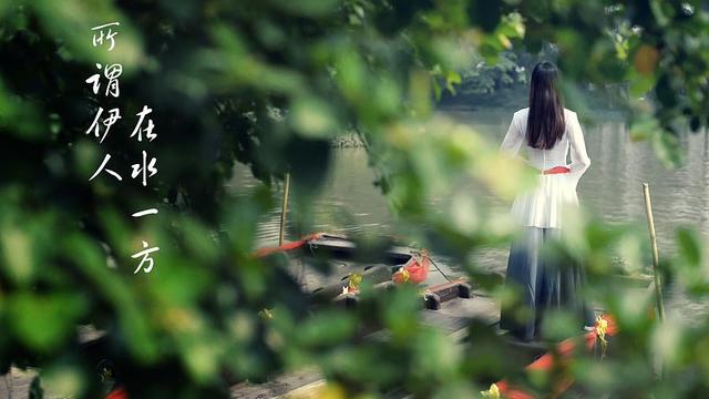 重读《诗经》：《蒹葭》中“所谓伊人在水一方”的“伊人”指什么