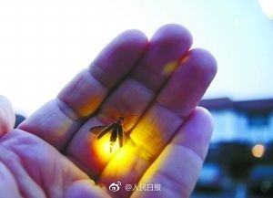 1495148339517796.jpg@!w7 1495148339517796.jpg@!w7