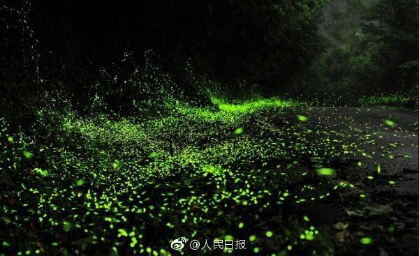 1495148429824021.jpg@!w7 1495148429824021.jpg@!w7