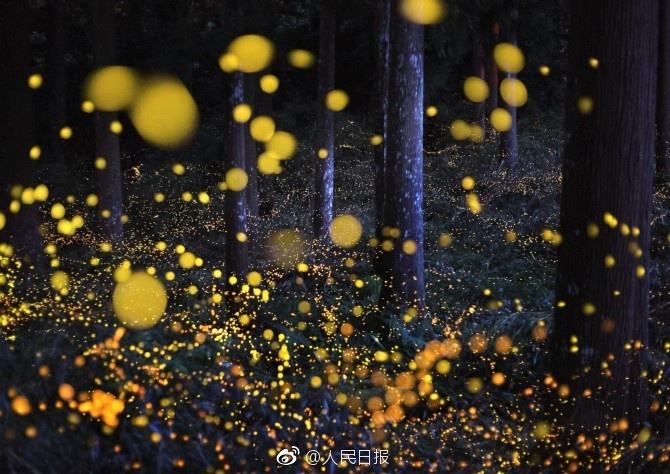 1495148246646522.jpg@!w7 1495148246646522.jpg@!w7