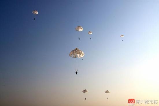 imagefile 伞花盛开在鄂北大地。南都记者 陈伟斌 通讯员 戚勇强 摄.jpg