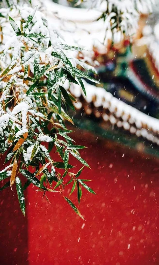 原来"雪"还有这么多雅称,太唯美了!