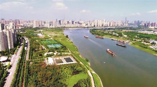 硚口打造绵延15公里汉江江滩公园 "醉美汉江湾"明年全线建成开放