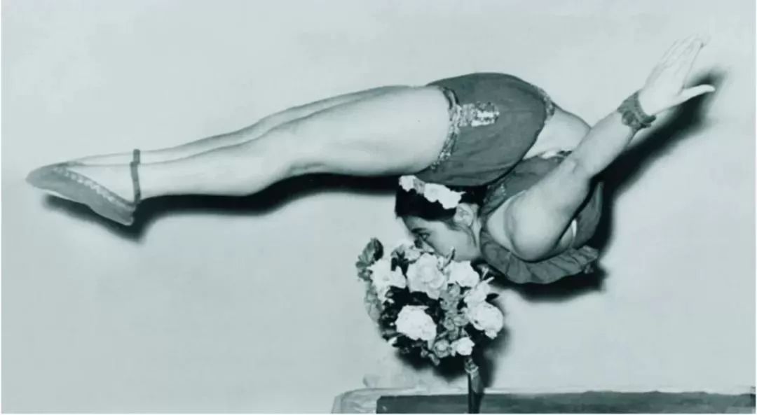 最美芳华|夏菊花:芳菊开林耀 杂坛写传奇