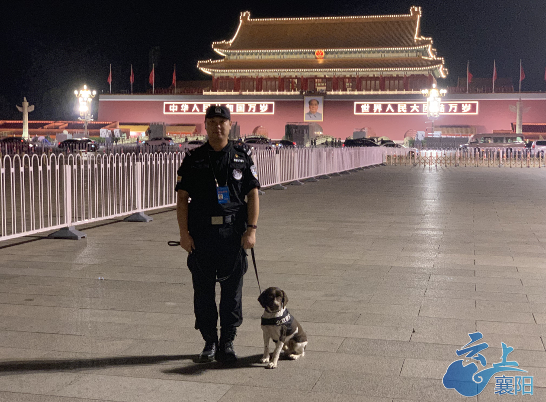 襄阳三名民警带着警犬参加国庆70周年阅兵式安保