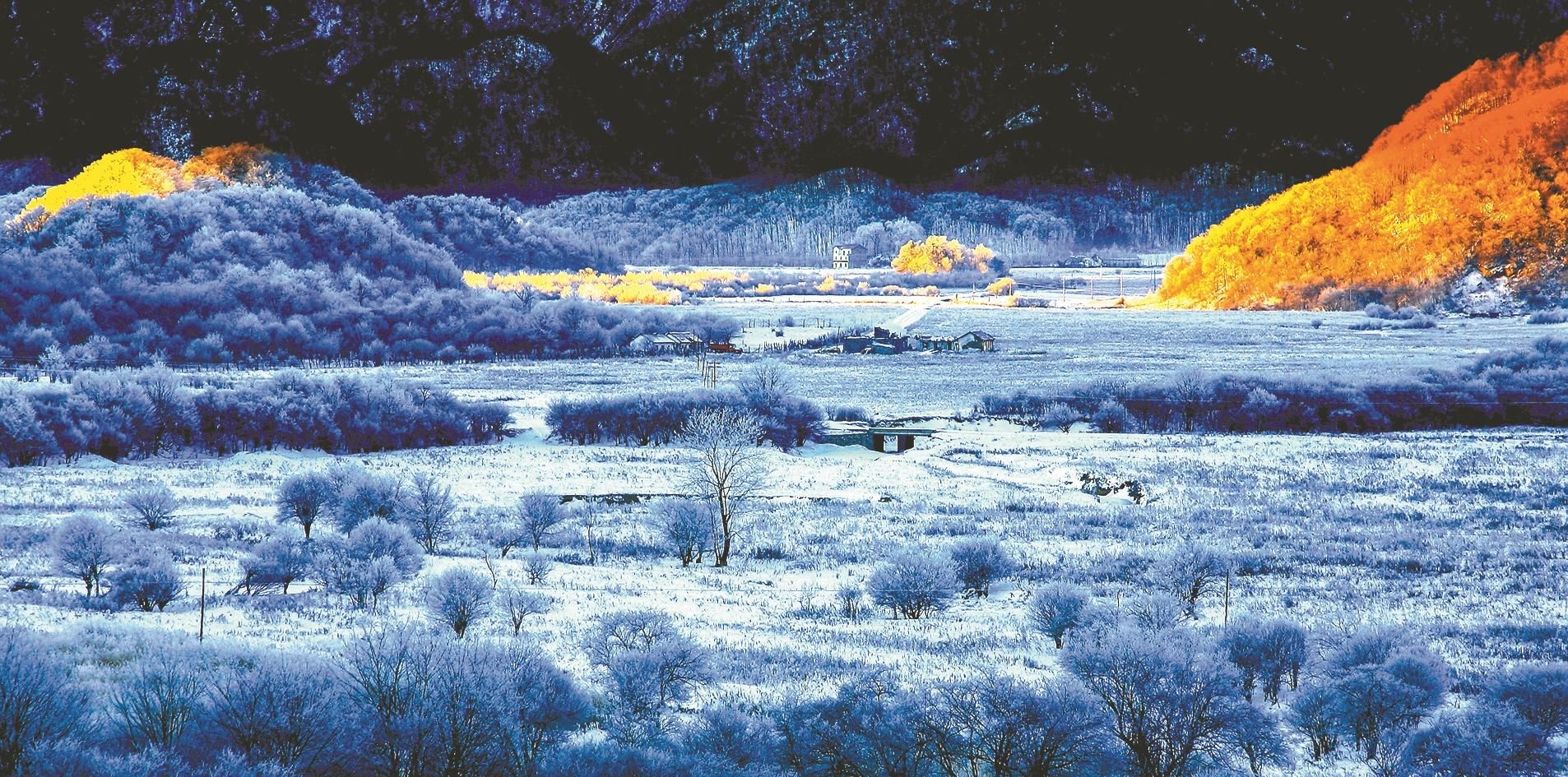 滦平 林海雪原图片