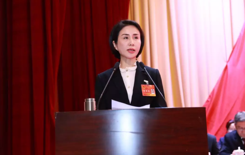 汉阳区区长徐丽向大会作政府工作报告