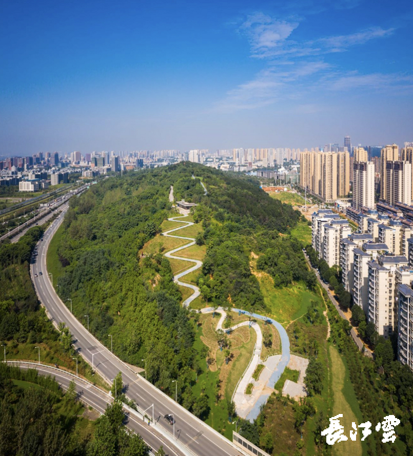 震撼!75座破损山体重披"绿装" 武汉人又多了休闲好去处