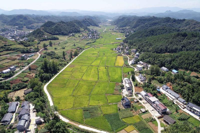 竹山县擂鼓镇西河村图片