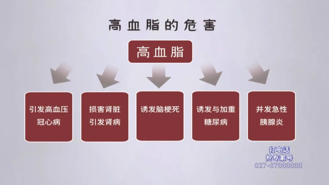 高血脂的危害我国现有16亿高血脂患者,但很多人并未重视