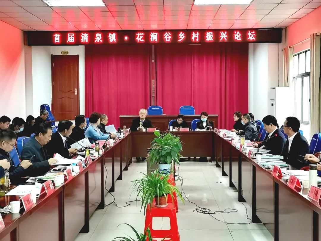 抢抓清明节探亲时机,浠水这个村办了一场乡村振兴论坛