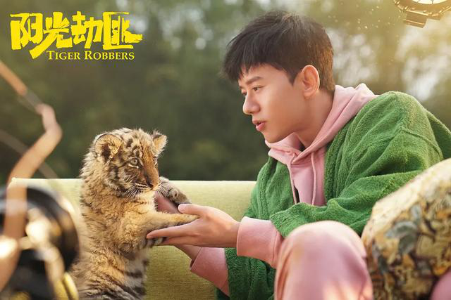 五一预售票房第三名《阳光劫匪》:马丽宋佳携手,陪你五一合家欢