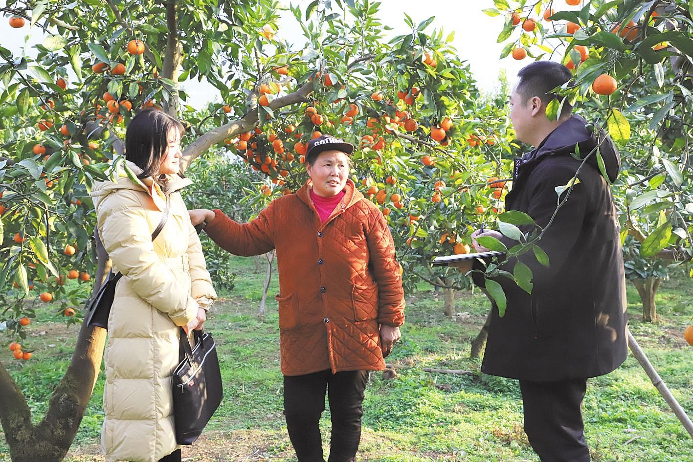 鱼台县委书记董波图片