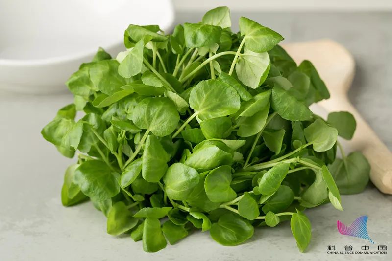 第一个就不认识_长江云 - 湖北网络广播电视台官方网站