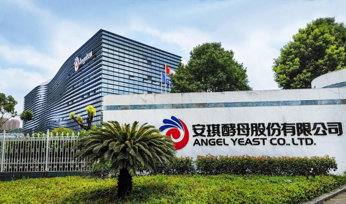 位于湖北宜昌的安琪酵母股份有限公司据了解,安琪酵母股份有限公司
