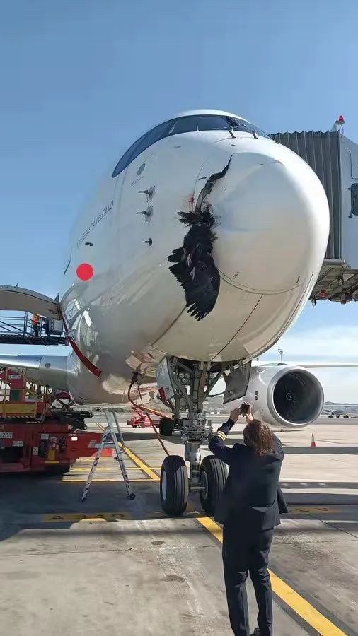 参与鸟击事件的空客a350于2019年5月交付给西班牙旗舰航空公司,目前
