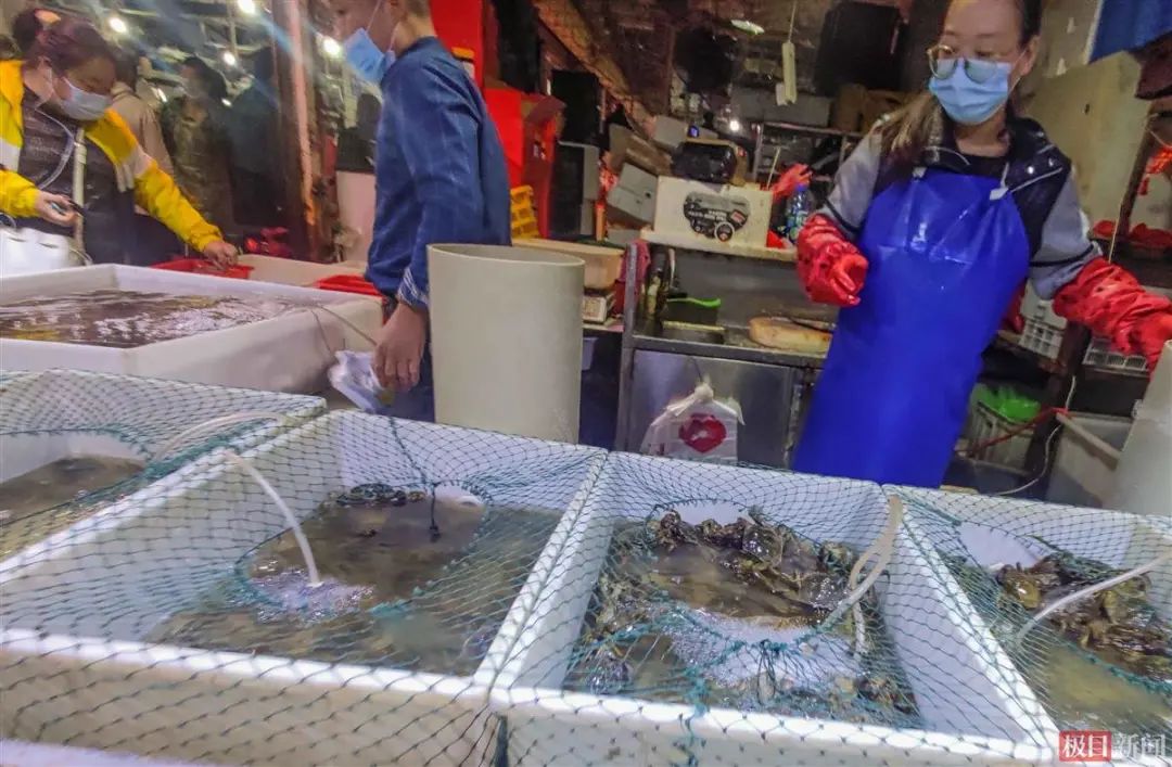 lh21101108.jpg 图片