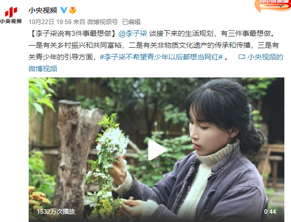 李子柒上央视谈生活规划:有三件事最想做