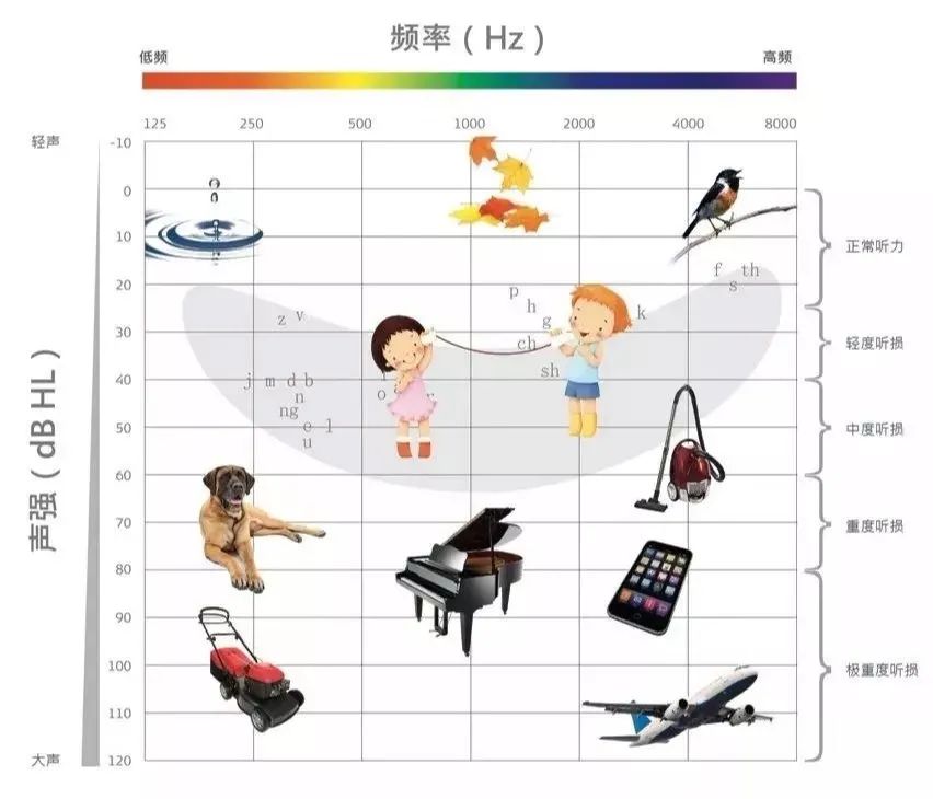 没有耳镜怎么使用手机音量超标会造成听力损伤！很多人都没注意_https://www.jmylbn.com_新闻资讯_第3张