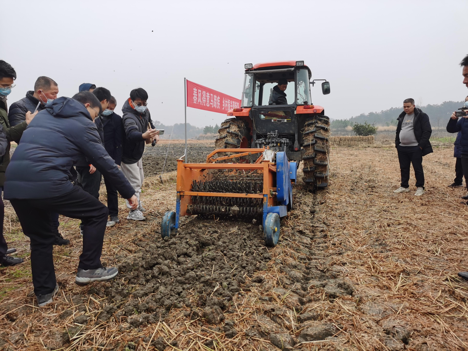 新型荸荠收获机正在平稳作业荸荠被称为地下雪梨,也称为马蹄,有