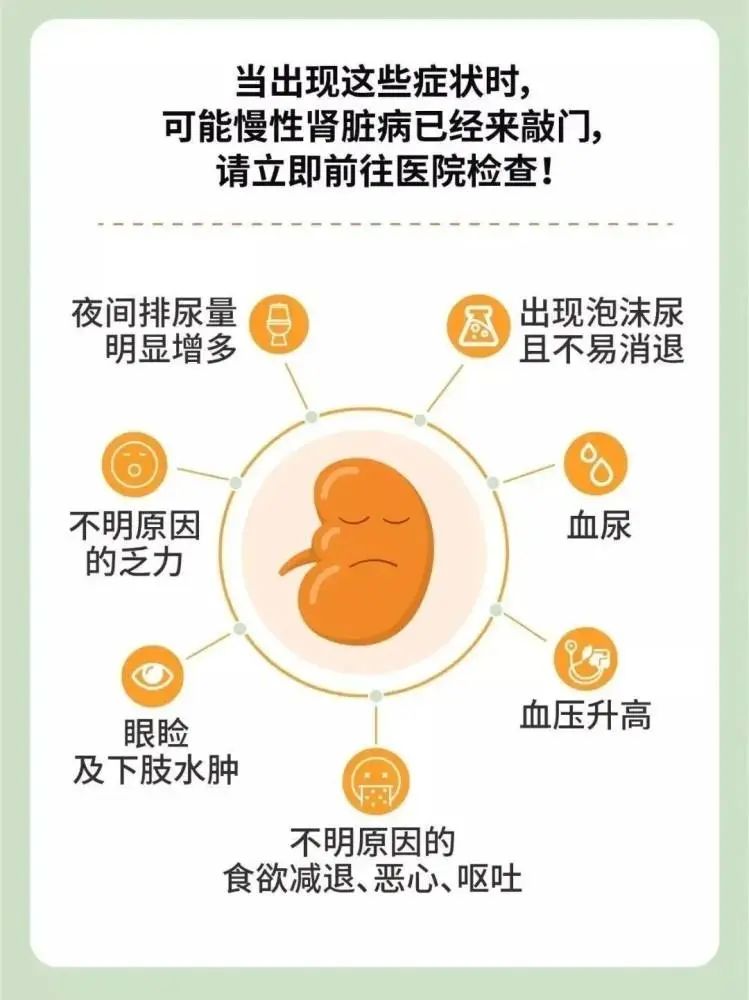 肾图abc段的意义图片