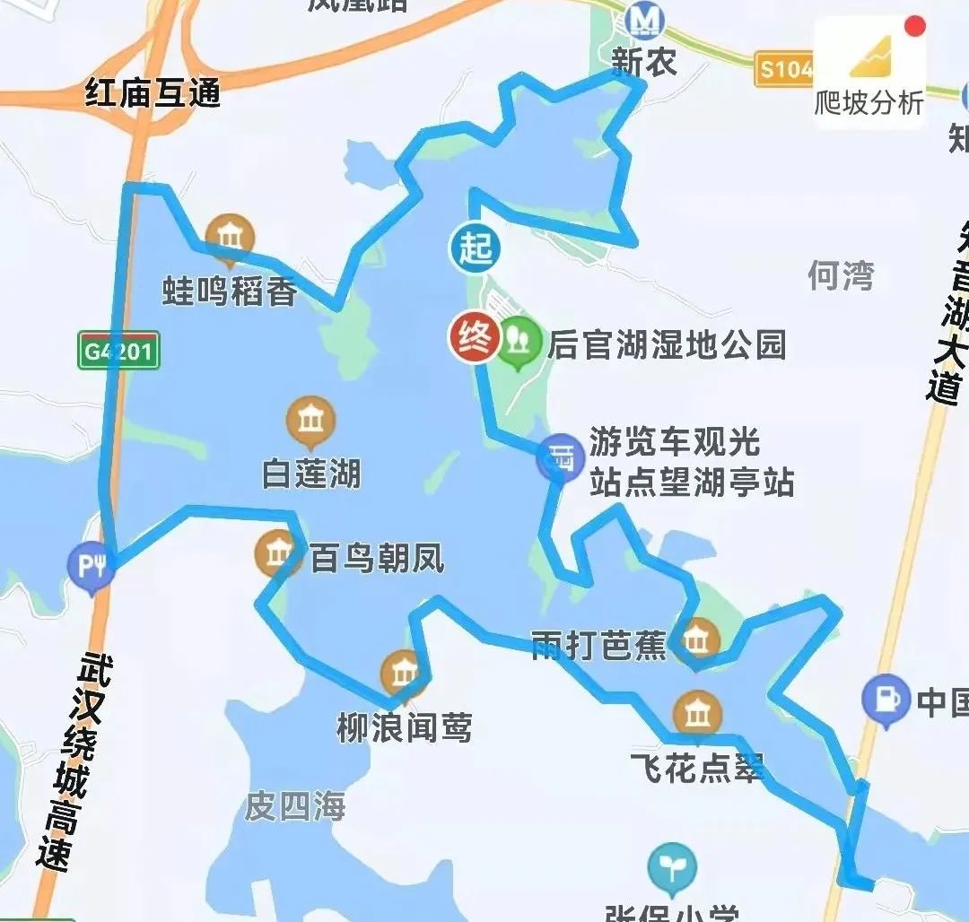 后官湖绿道.jpg 图片