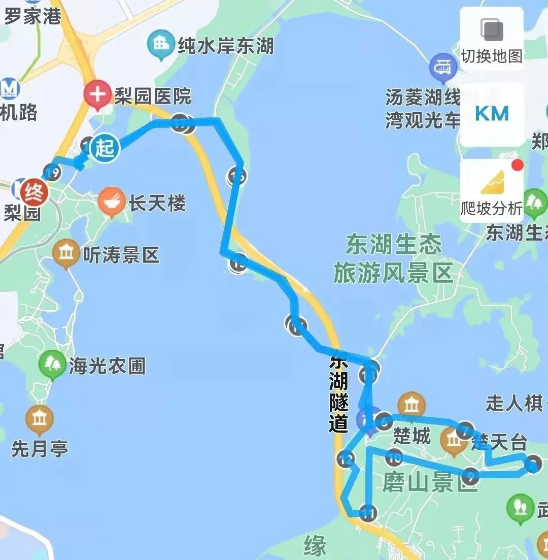 东湖绿道1.jpg 图片