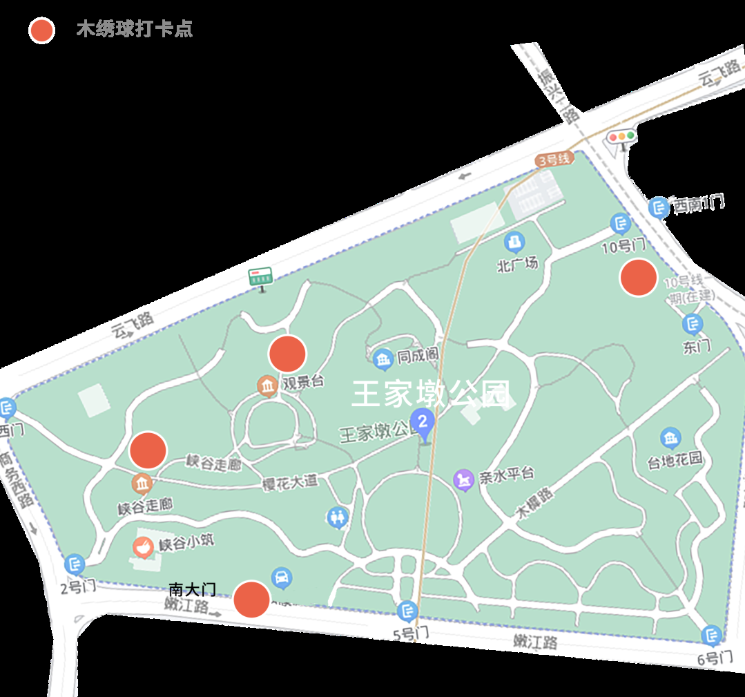 武汉江汉:王家墩公园的冰淇淋花开了!