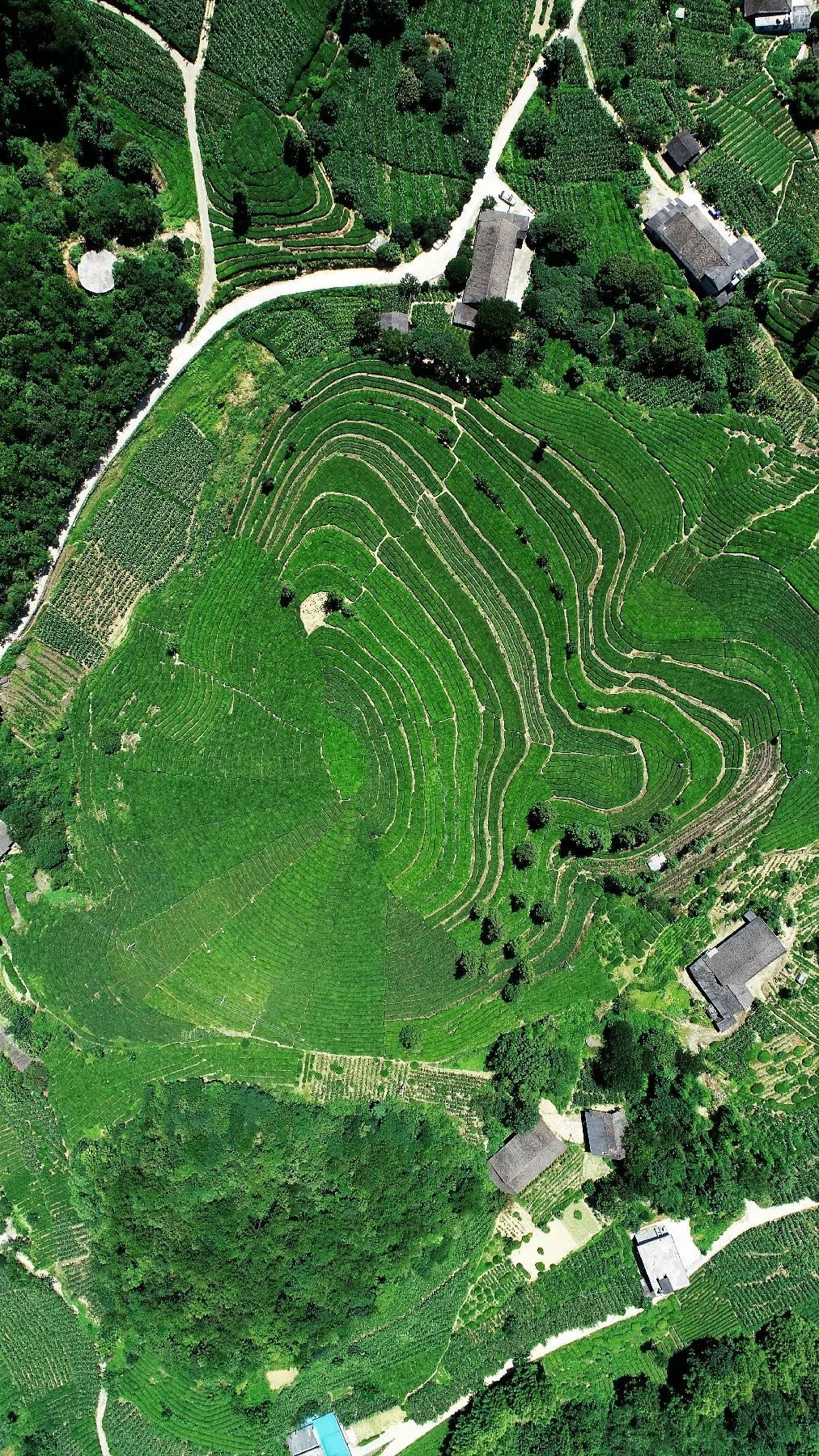 湖北五峰首富图片