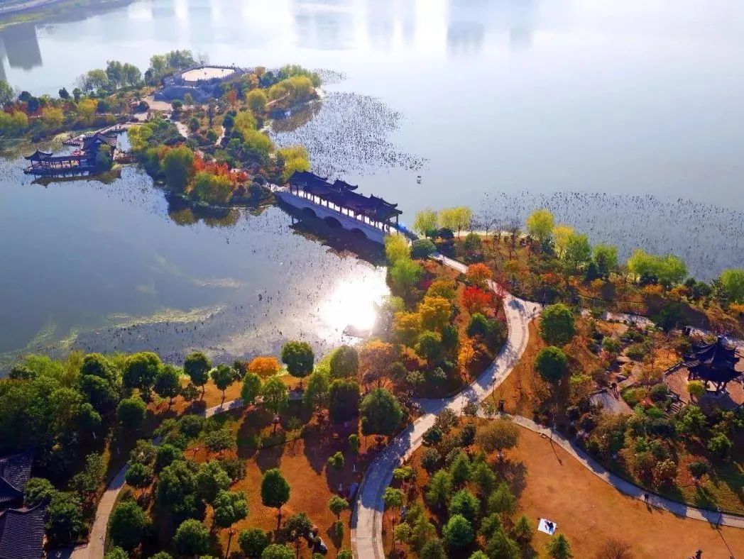 湖北精耕怎么样匠心精耕品质，创新筑梦未来_https://www.jmylbn.com_新闻资讯_第15张