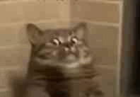 尿液什么价有内味了！有一群人，专门高价买尿是为了什么？_https://www.jmylbn.com_新闻资讯_第3张